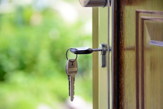 Unlock Your Full Insurance Claim Potential: Beyond the Basics of Public Adjusting