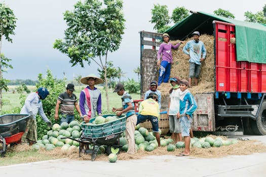 The Impact of AI on the Job Market: Your Actionable Survival Guide