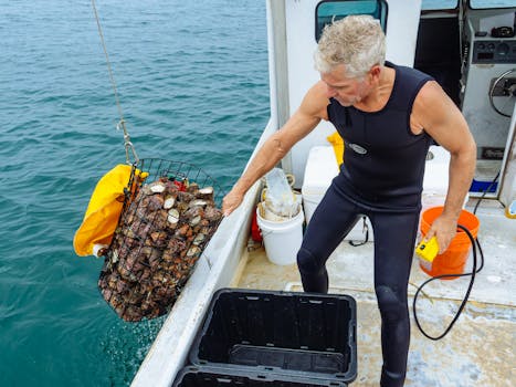 Navigating the Atlantic Currents: A Deep Dive into East Coast Business Brokers