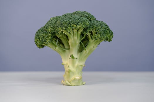 Beyond the Multivitamin: Pinpointing Your Vital Nutrients