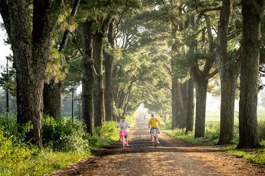 Your Heart’s Best Friends: Unlocking Natural Ways to Improve Heart Health