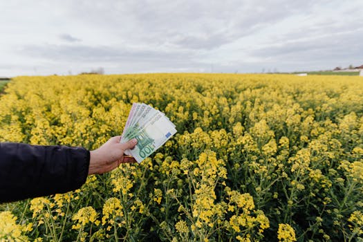 Cultivating Capital: Unlocking the Diverse Roots of Agricultural Finance