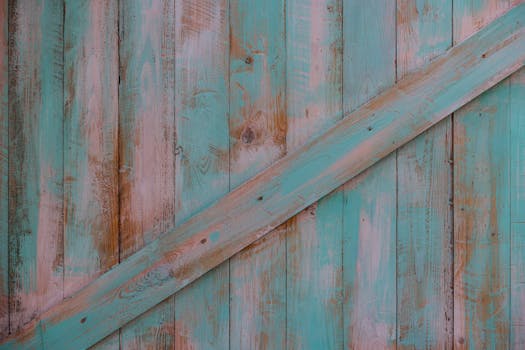 Building a Better Nest: Beyond Bricks and Mortar, We’re Talking Truly Sustainable Home Materials