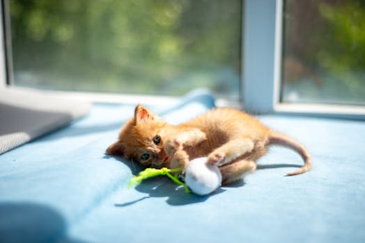 Is Your SBI Home Loan Draining Your Pockets? Prepayment Might Be Your Lifeline.