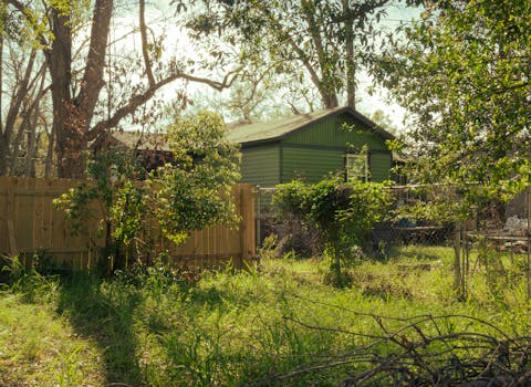 Your Backyard, Your Sanctuary: Why a Privacy Fence is More Than Just a Barrier
